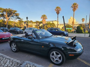 MX5b